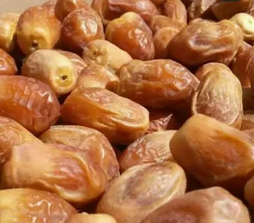 تصویر 1 از خرما زاهدی درجه یک تازه آماده مصرف